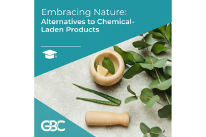 Embracing Nature: The Best Alternatives to Chemical-Laden Products 