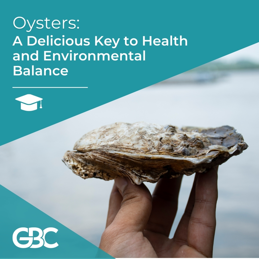 Oysters: A Delicious Key to Health and Environmental Balance